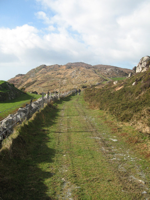 Green road on the Sheeps Head Peninsula
