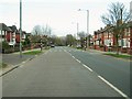 Fox Lane at the junction with Forestway