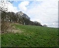 Track across Field - Hare Lane