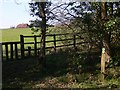 Field by Wallfield Copse