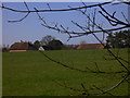 The roofs of Perryland seen from Wallfield Copse