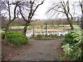 The duck pond at Maxwell Park