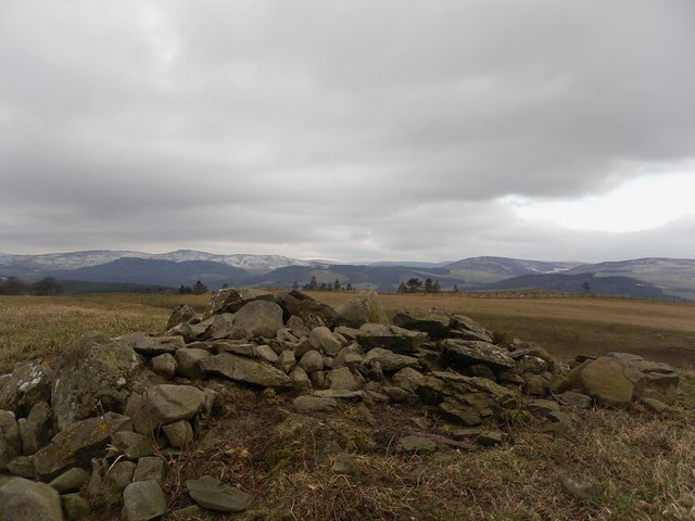 Looking West from 280m, Selkirk Common