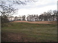 Sand dune off Black Bank Lane