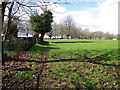 Footpath, Lytchett Minster