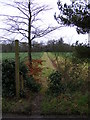 Footpath to the A12 Melton Bypass