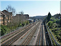 Northern Line north of East Finchley