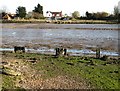 Old quay opposite Landermere