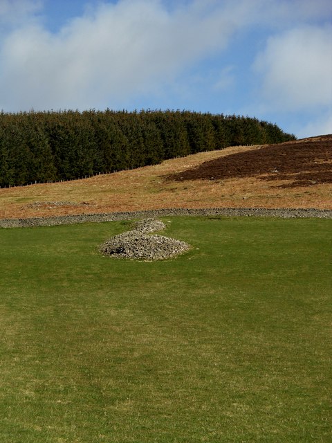 Pile of Stones, Thornylee
