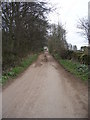 Scholebrook Lane - looking up towards Bankhouse