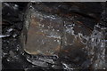 SK4270 : Duckmanton Railway Cutting - Fossils by Ashley Dace
