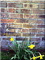 Benchmark on Queens Drive Methodist Church