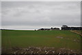 Countryside near Cavil Head Farm