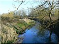 SU0294 : River Thames, south of Somerford Keynes (2 of 2) by Brian Robert Marshall