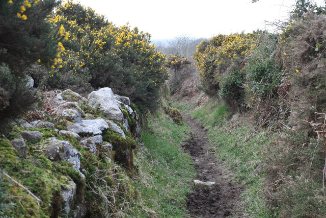 Bridle path north west of the reservoir