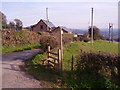 Footpath beside the road