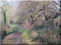 Footpath on Hampstead Heath Extension