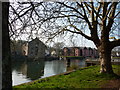 Housing development opposite Steamer Quay, Totnes