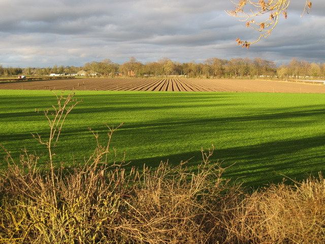 Ploughed field alongside the River Dee/Afon Dyfrdwy