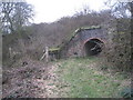 Tunnel under the railway (2)