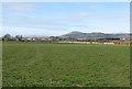 Farmland west of the Aughnahoory Road