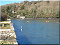 The mouth of Cowlands Creek