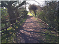 Pathway from Hunston Canal