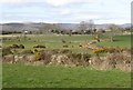 Pastureland west of the Aughnahoory Road