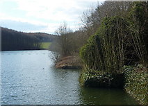 SK3372 : Linacre Lower Reservoir by Andrew Hill