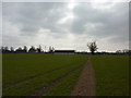 Path through a spring field at Glapwell