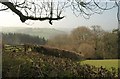 View above the Dart valley