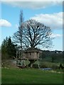 Tree houses under construction