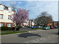 The first day of Spring around unseen Chichester (15)