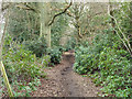 Bridleway 157 near Hillhouse Farm