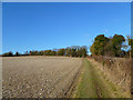 Farmland, St Mary Bourne