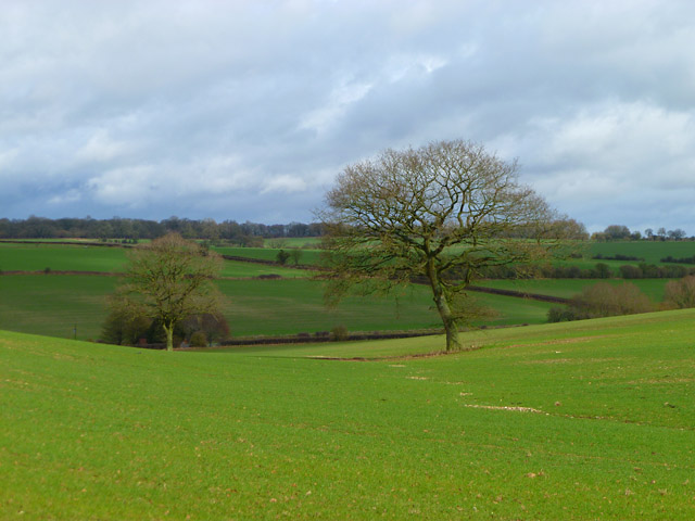 Farmland, Little Bedwyn