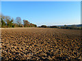 Farmland, St Mary Bourne