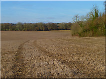 SU4154 : Farmland, St Mary Bourne by Andrew Smith