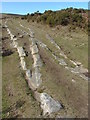 Haytor granite railway