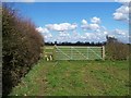 Footpath To Wheaton Aston