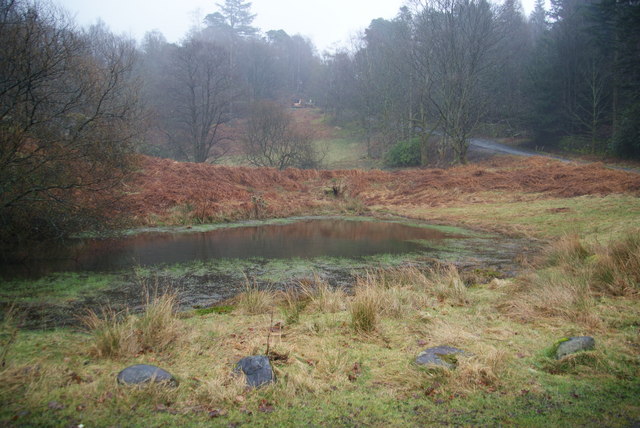 Duck pond opposite How Top Farm