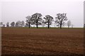 Farmland by Upper Farm