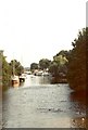 River Avon - Christchurch