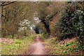 Cycleway to Long Wittenham