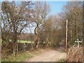 Footpath Crossroads near High Field Plantation