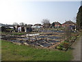 Allotments in early spring