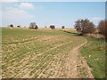 Public Footpath near the A629 Road