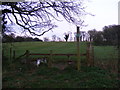 Footpath to Silverlace Green