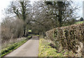 2011 : Up Blackley Lane toward Badger