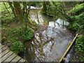 Meeting of streams from footbridge on Jubilee Trail